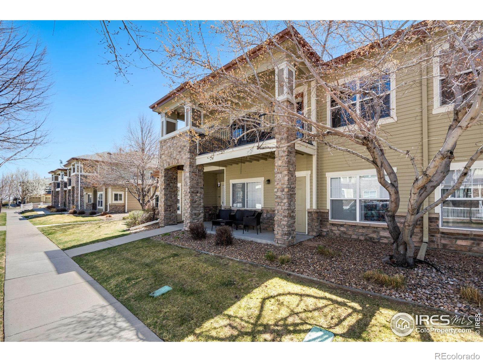 Report Image for 3903  Precision Drive,Fort Collins, Colorado