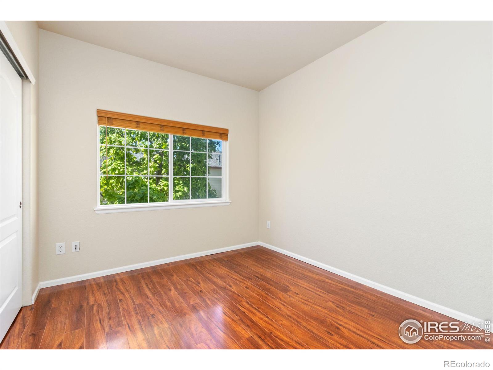 MLS Image #15 for 3903  precision drive,fort collins, Colorado