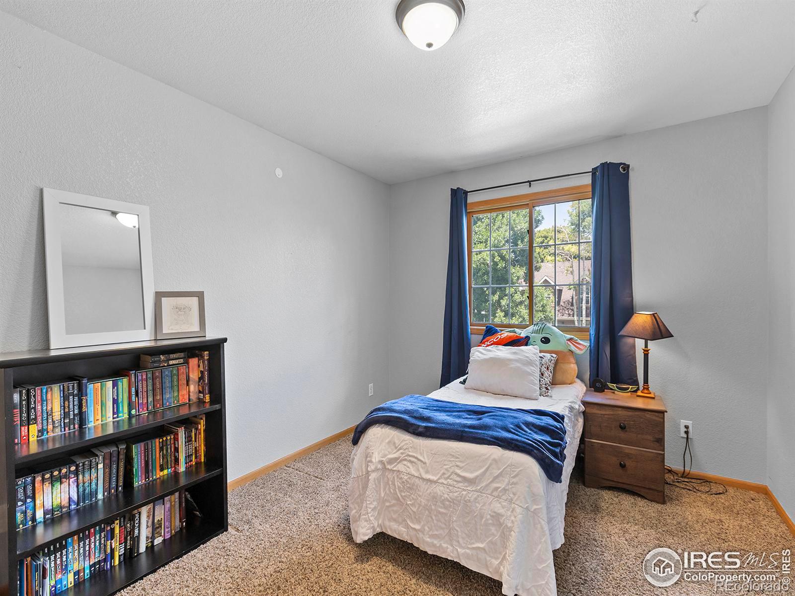 MLS Image #23 for 2773  coal bank drive,fort collins, Colorado