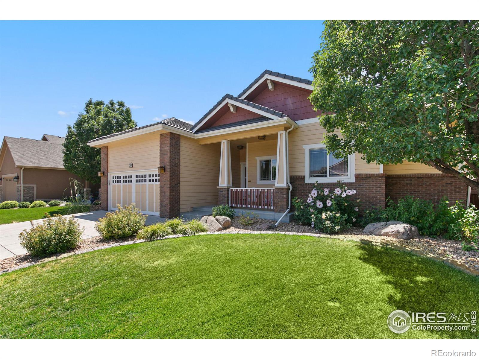 CMA Image for 251  cornelia drive,Windsor, Colorado