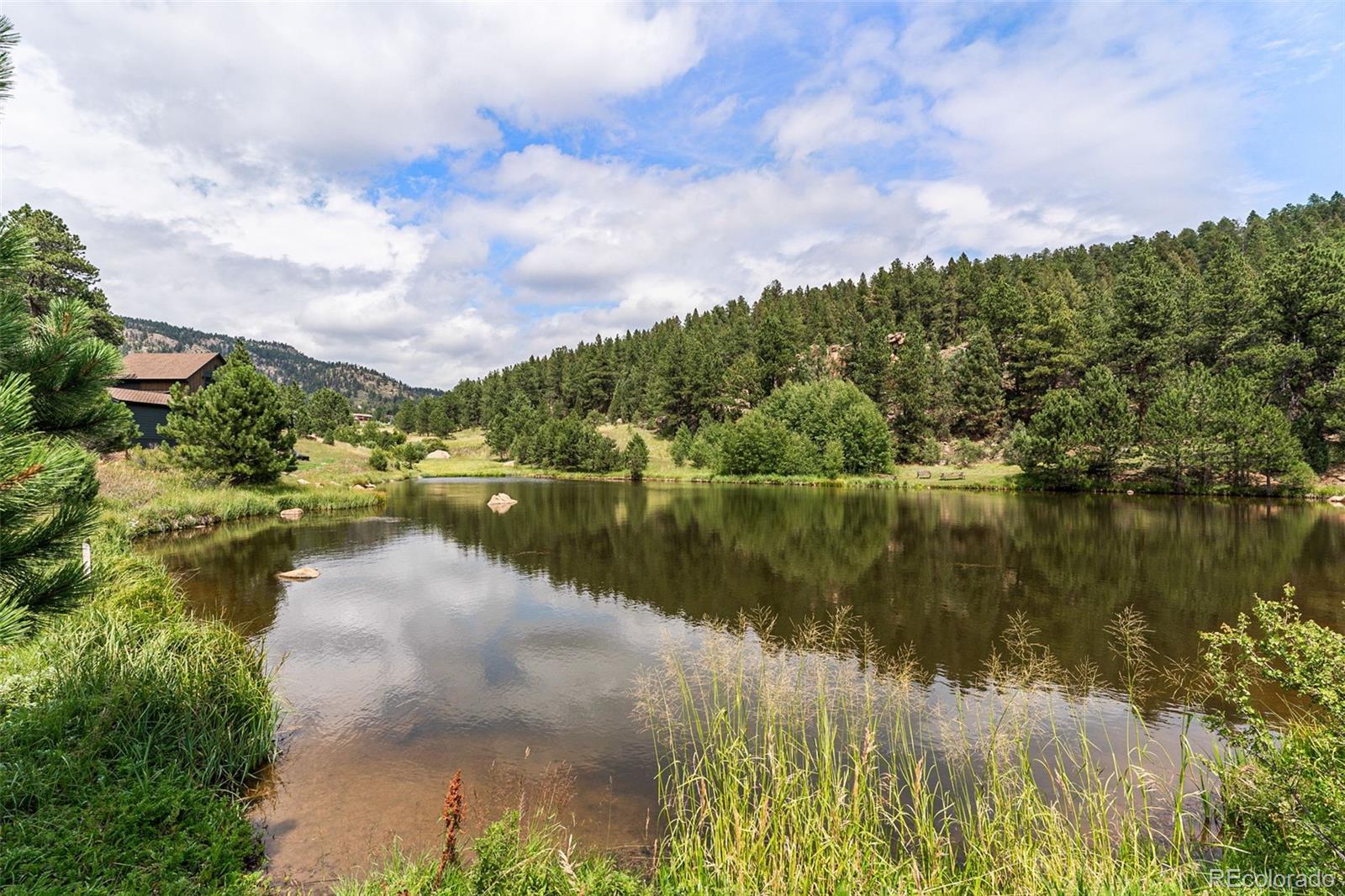 MLS Image #38 for 625  wisp creek drive,bailey, Colorado