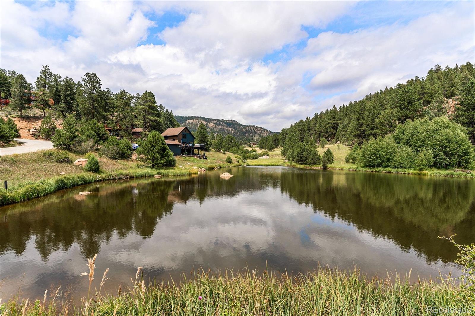 MLS Image #39 for 625  wisp creek drive,bailey, Colorado