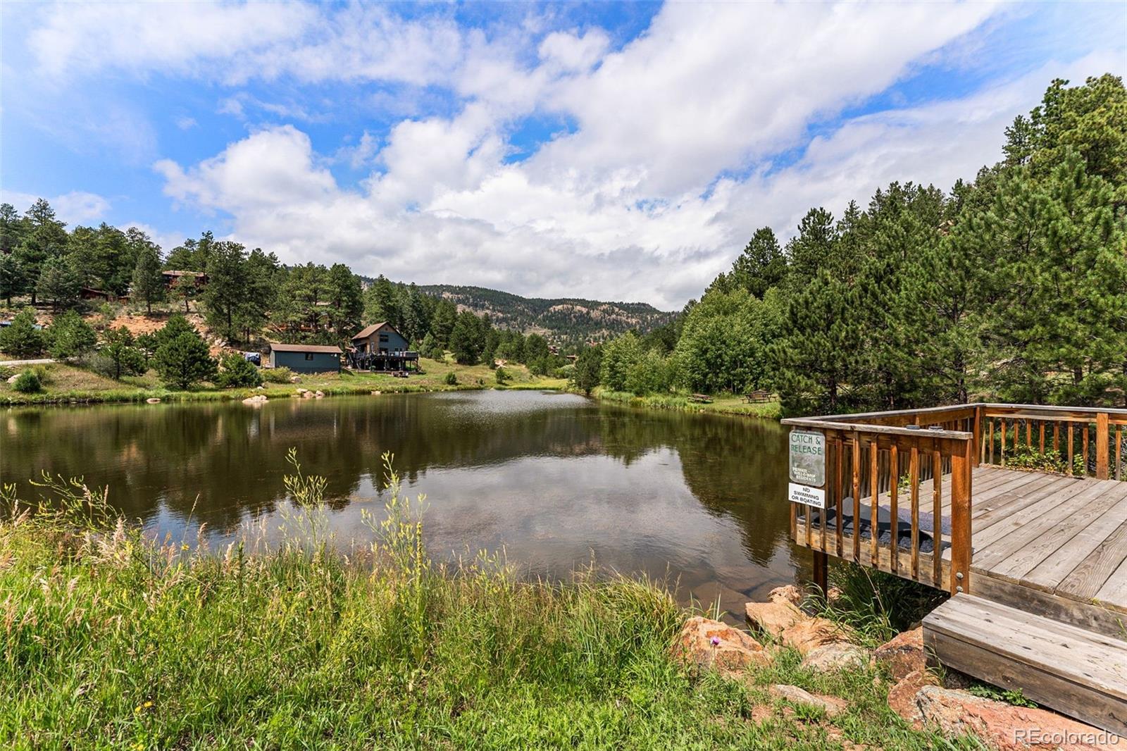 MLS Image #41 for 625  wisp creek drive,bailey, Colorado