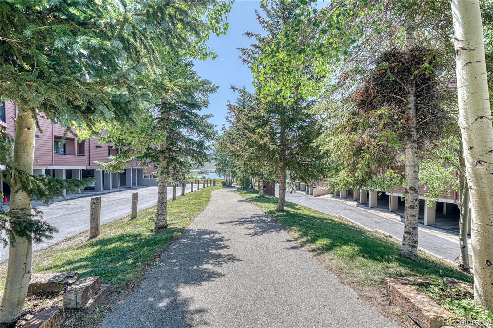 MLS Image #11 for 205 e la bonte street,dillon, Colorado