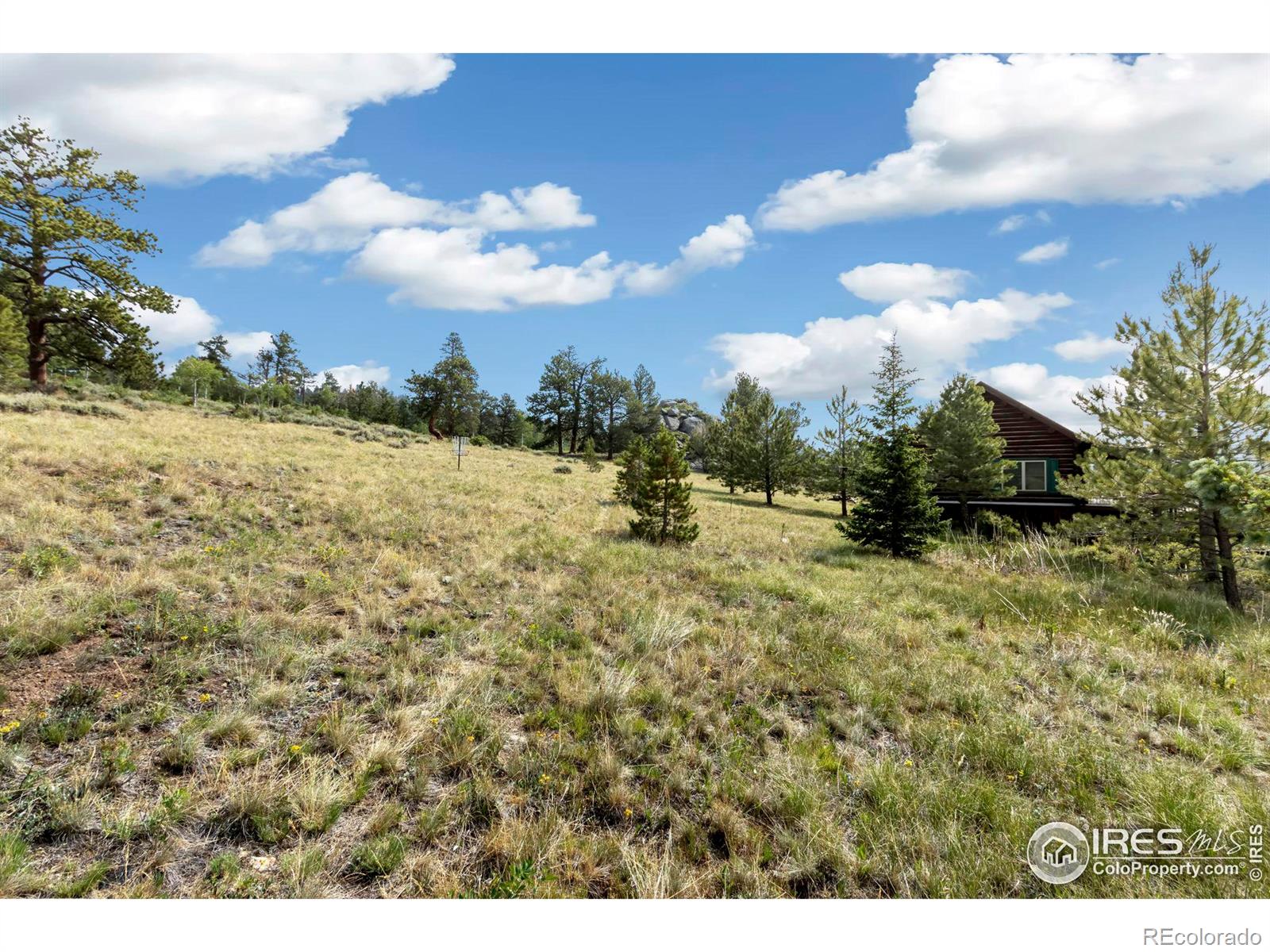 MLS Image #12 for 280  navajo road,red feather lakes, Colorado