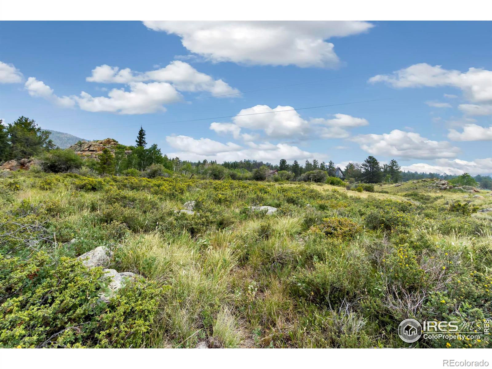 MLS Image #16 for 280  navajo road,red feather lakes, Colorado