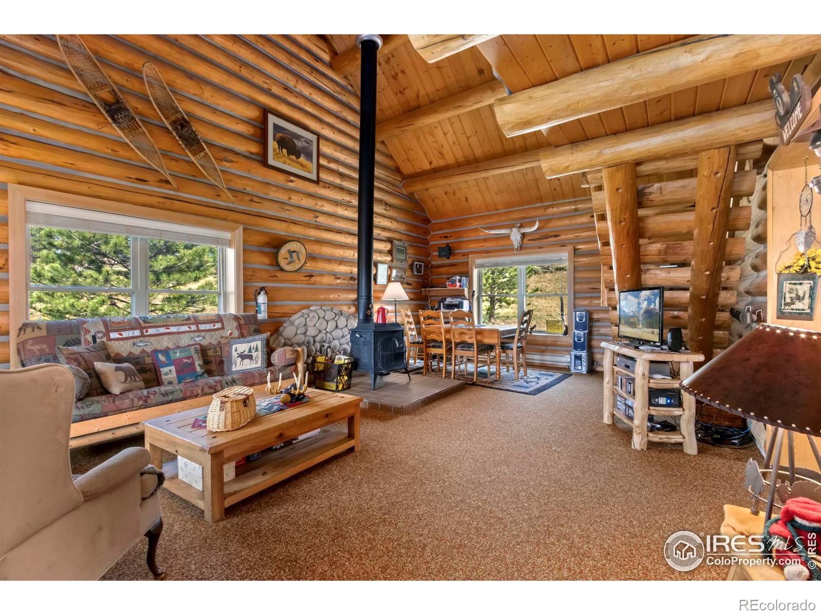 MLS Image #4 for 280  navajo road,red feather lakes, Colorado