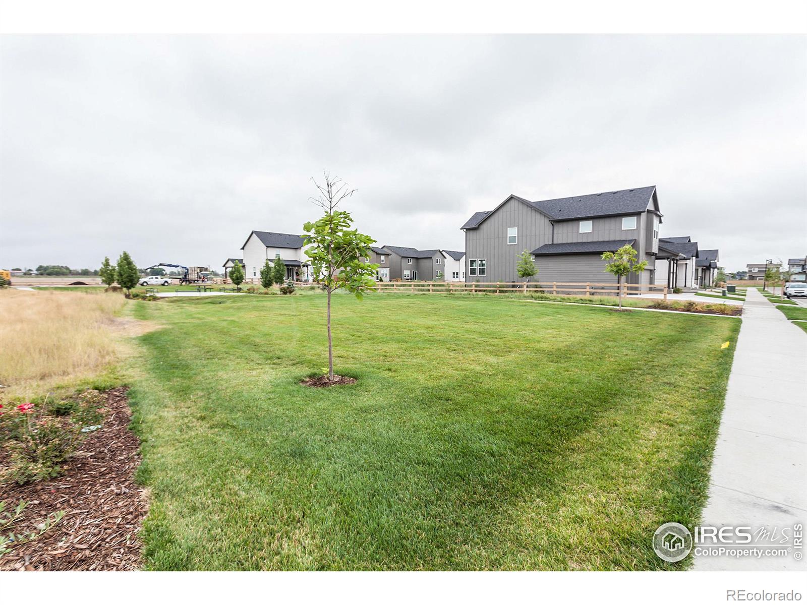 MLS Image #30 for 5301  ribault street,timnath, Colorado