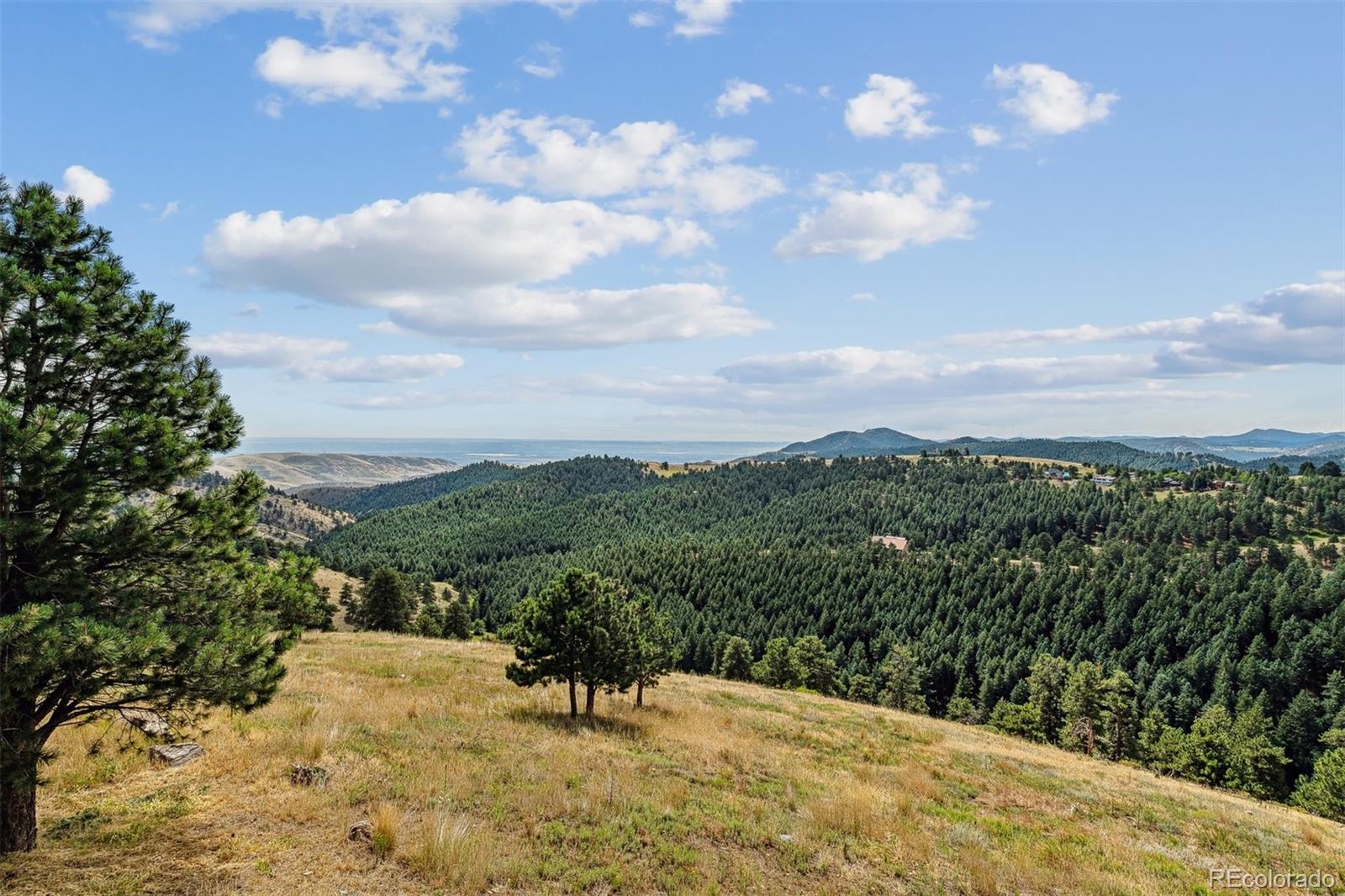 MLS Image #47 for 21618  mountsfield drive,golden, Colorado