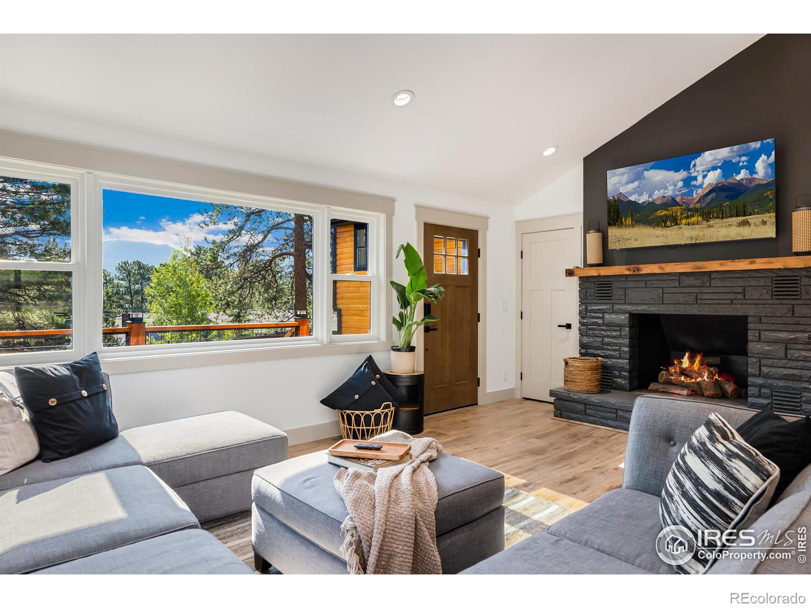 MLS Image #2 for 909  village green lane,estes park, Colorado