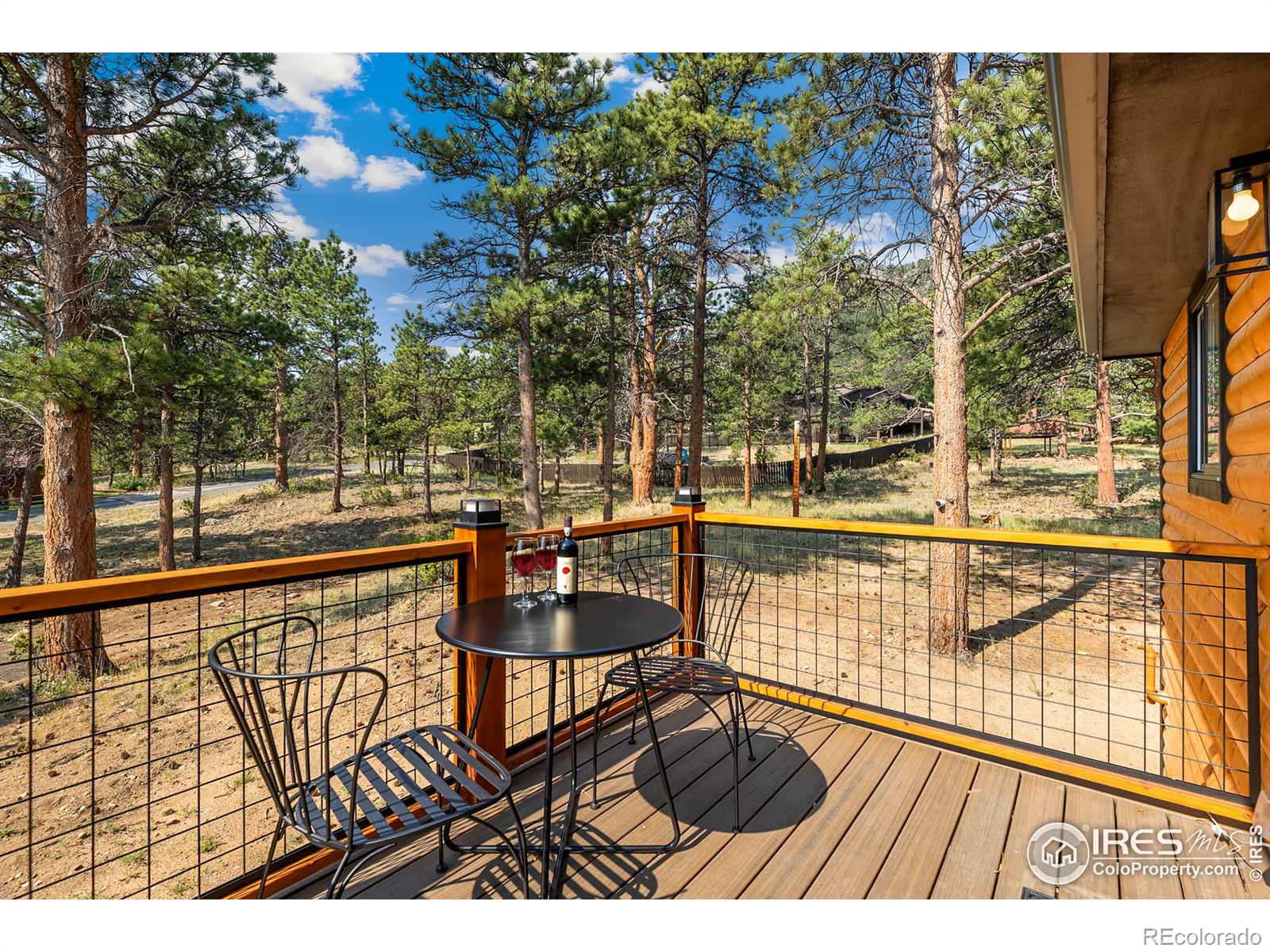 MLS Image #36 for 909  village green lane,estes park, Colorado