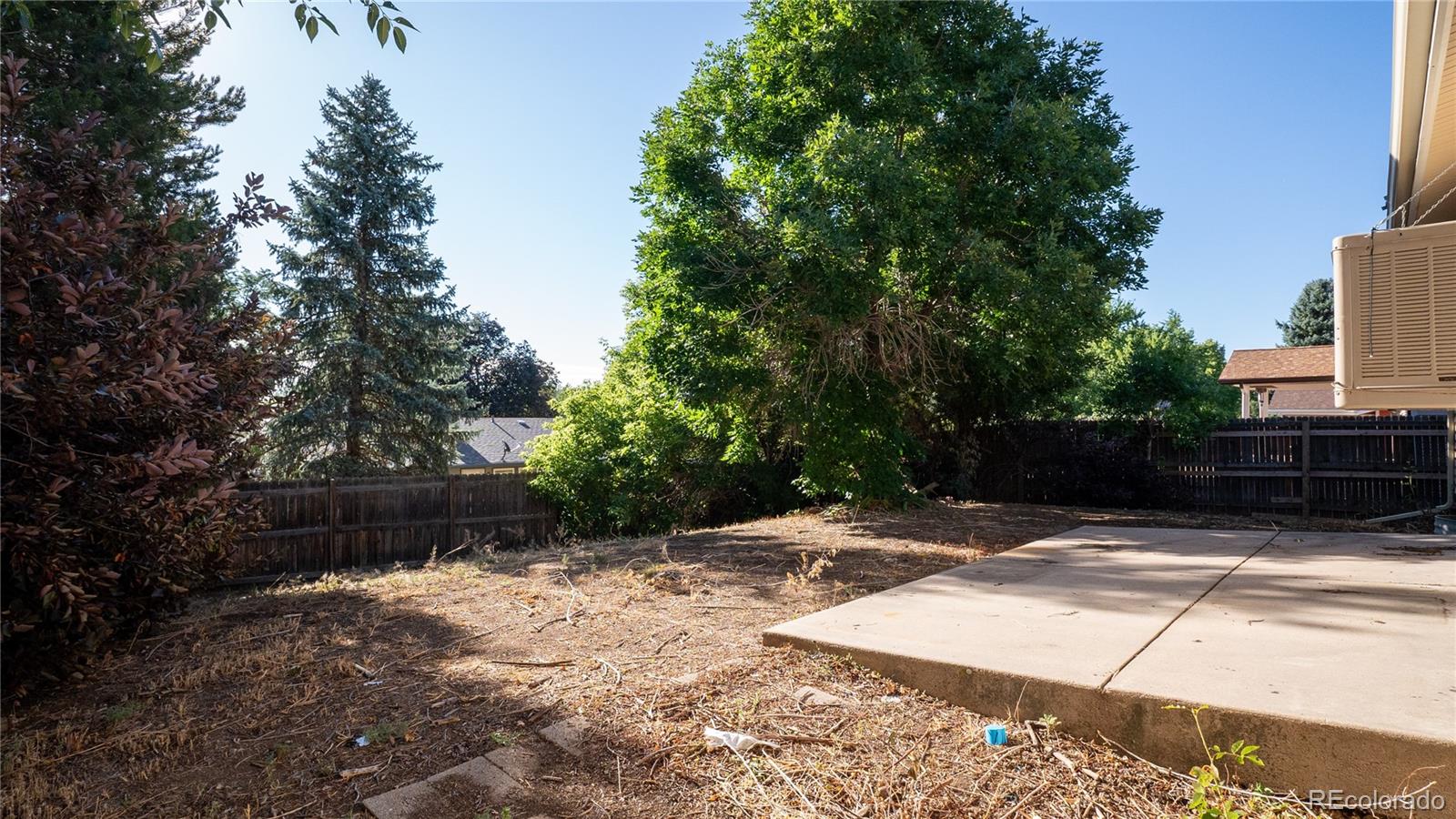 MLS Image #3 for 558 s field court,lakewood, Colorado