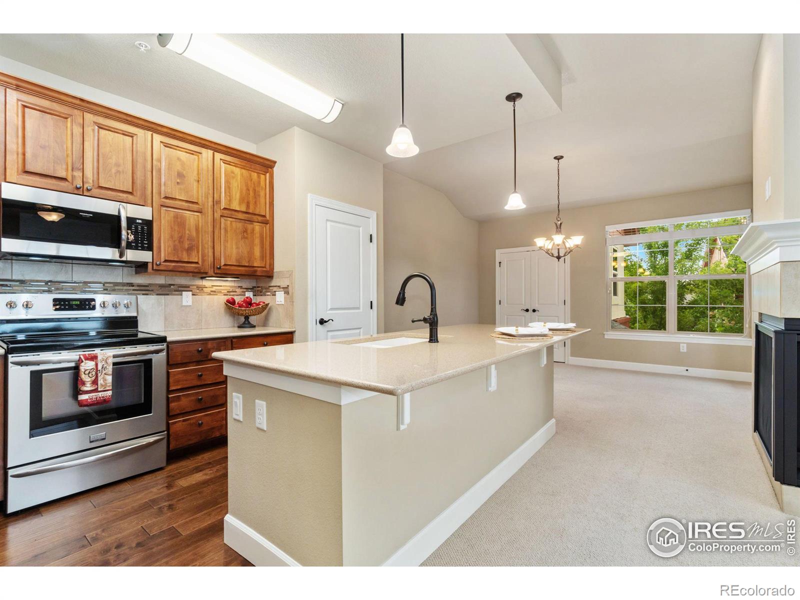 MLS Image #14 for 1379  charles drive,longmont, Colorado