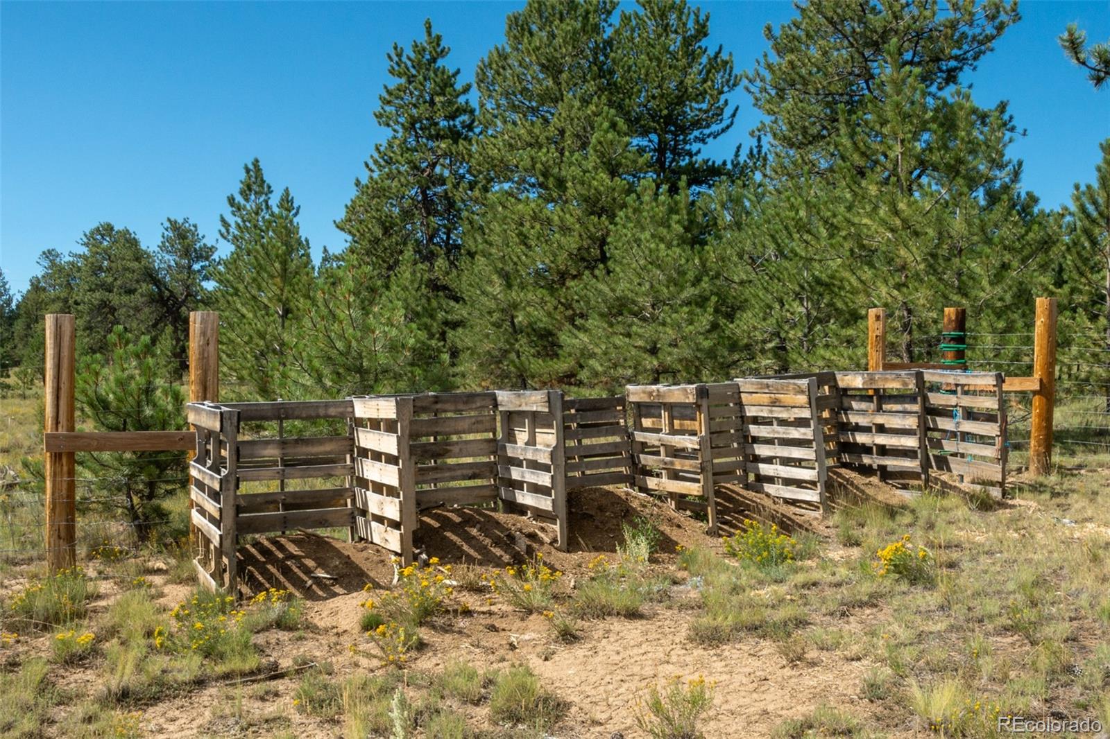 MLS Image #10 for 2467  ranch road,hartsel, Colorado