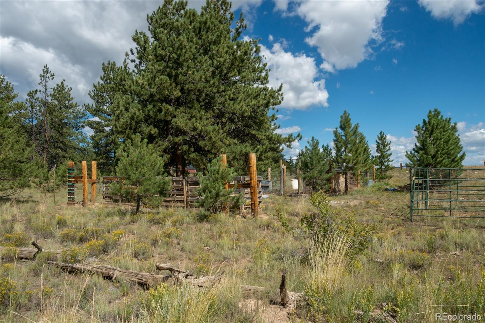 MLS Image #11 for 2467  ranch road,hartsel, Colorado