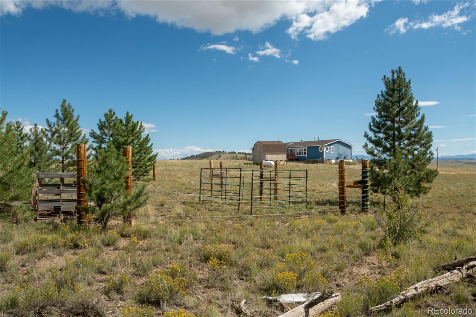 MLS Image #12 for 2467  ranch road,hartsel, Colorado