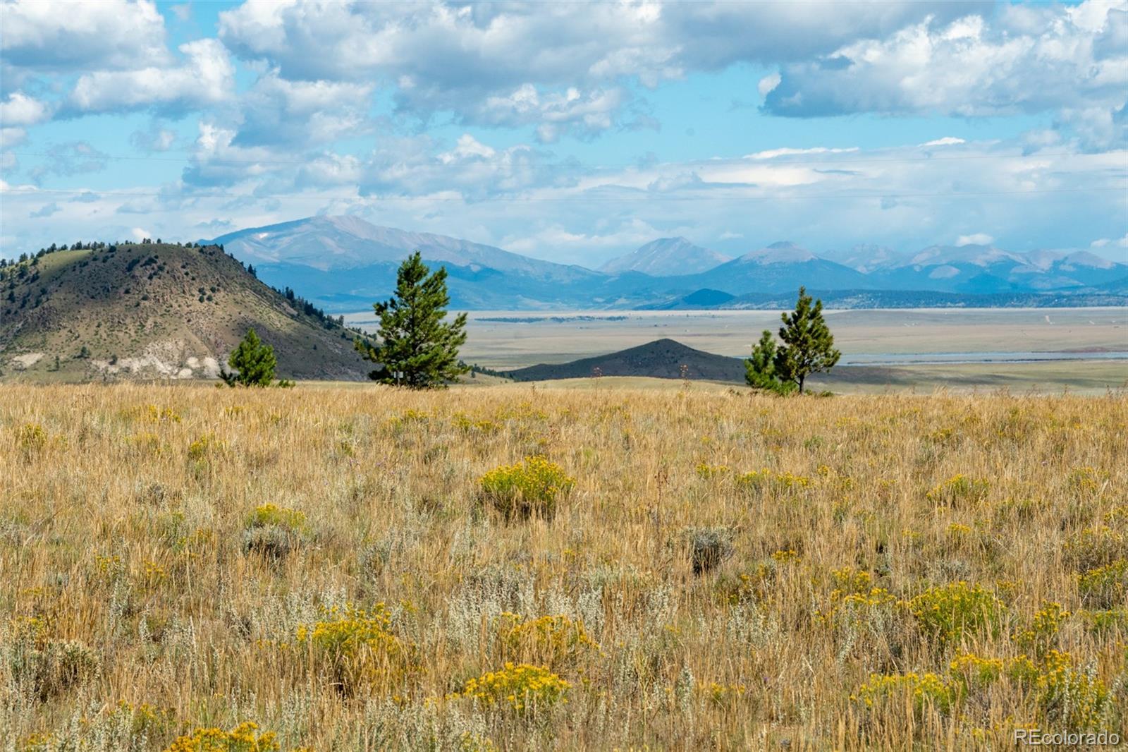 MLS Image #3 for 2467  ranch road,hartsel, Colorado