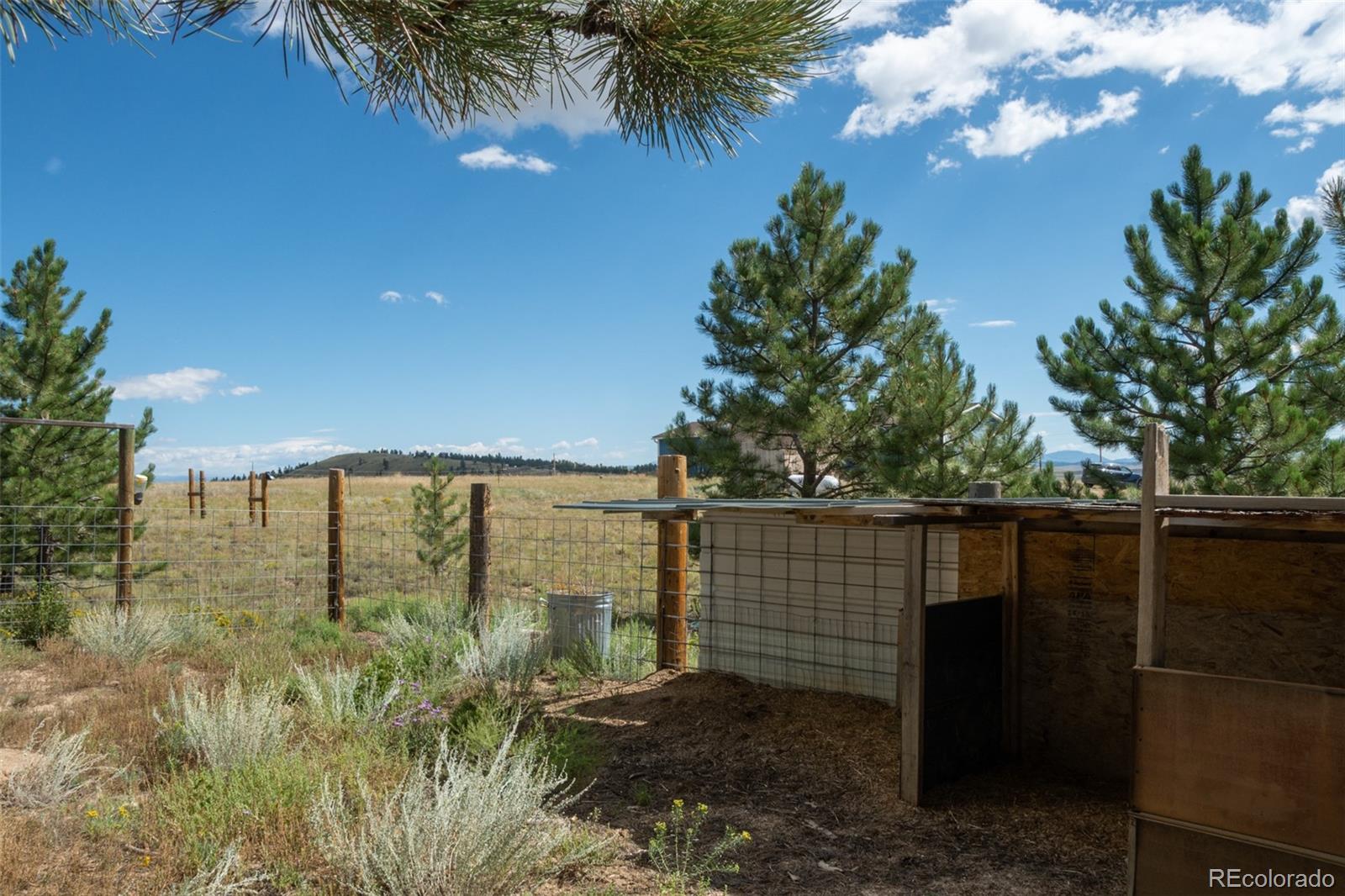 MLS Image #9 for 2467  ranch road,hartsel, Colorado