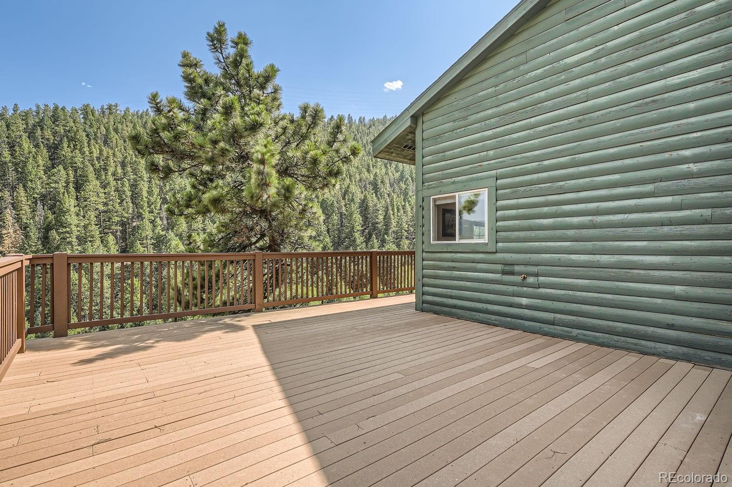 MLS Image #37 for 1021 s spring gulch road,idaho springs, Colorado