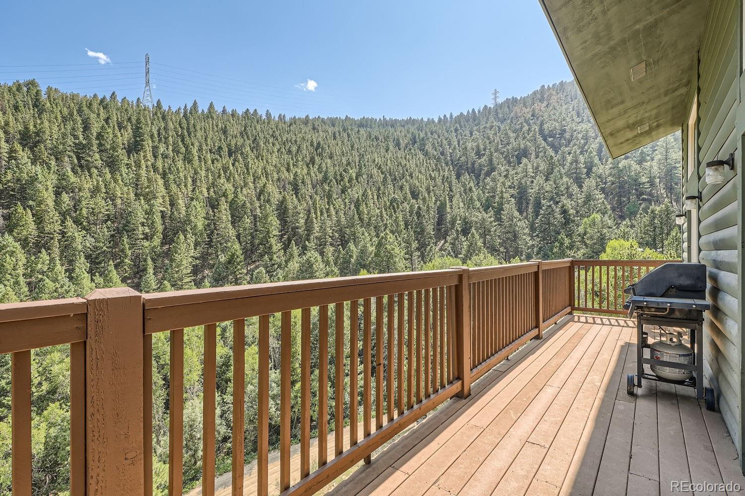 MLS Image #38 for 1021 s spring gulch road,idaho springs, Colorado