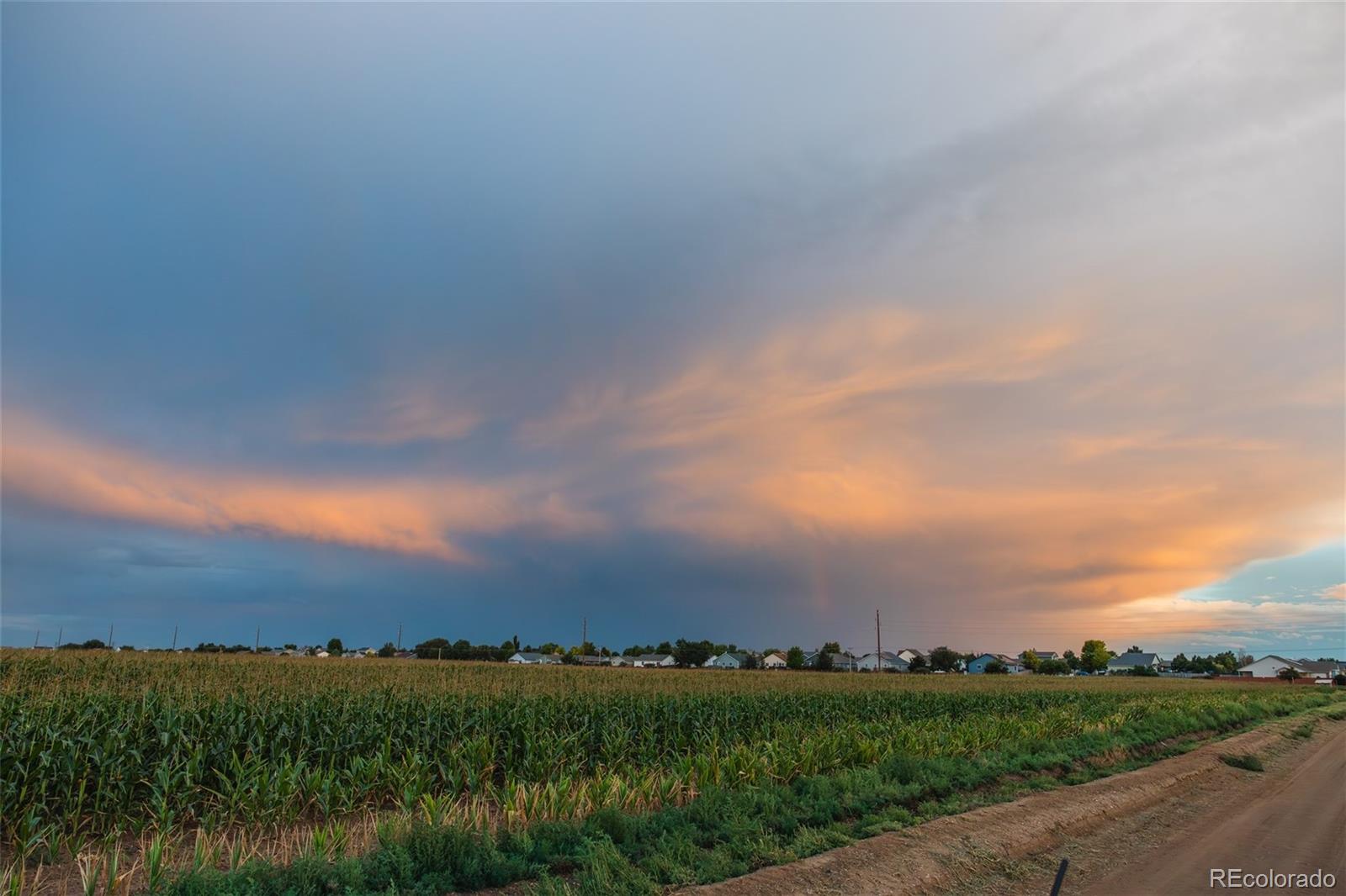 MLS Image #47 for 1305 s growers drive,milliken, Colorado