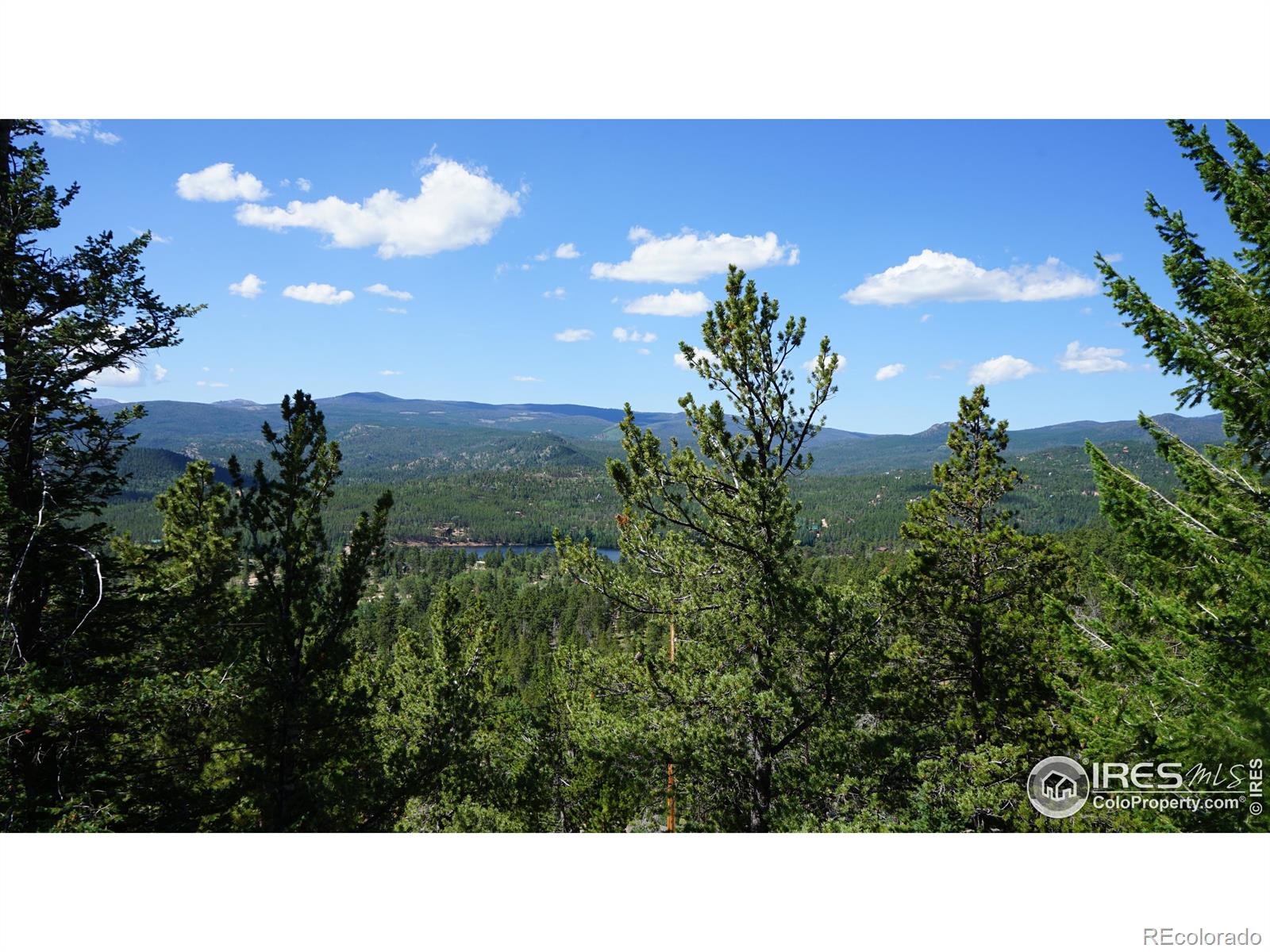 MLS Image #32 for 165  mattapony way,red feather lakes, Colorado