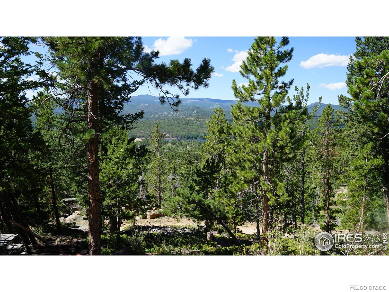 MLS Image #6 for 165  mattapony way,red feather lakes, Colorado