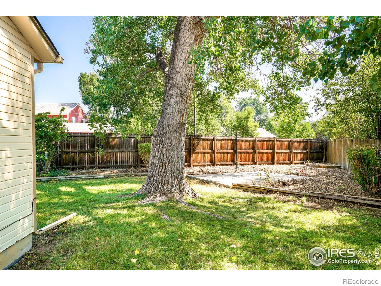 MLS Image #20 for 706  dahlia way,louisville, Colorado