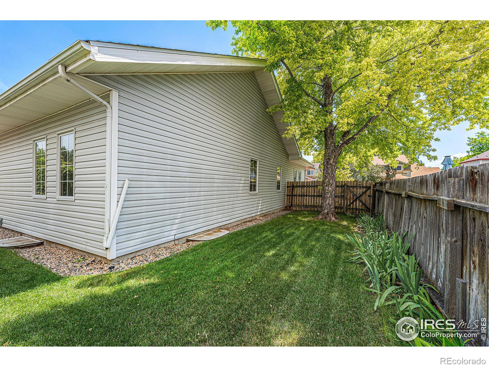 MLS Image #26 for 813  alexandria drive,loveland, Colorado