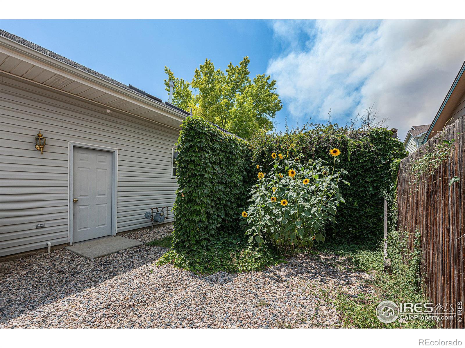 MLS Image #27 for 813  alexandria drive,loveland, Colorado