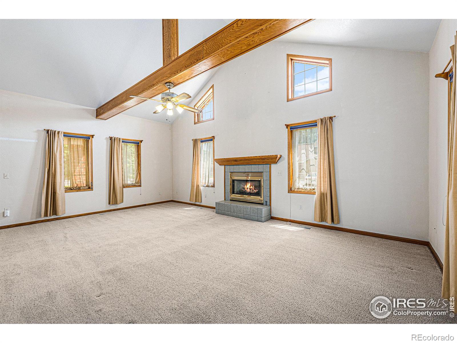 MLS Image #7 for 813  alexandria drive,loveland, Colorado