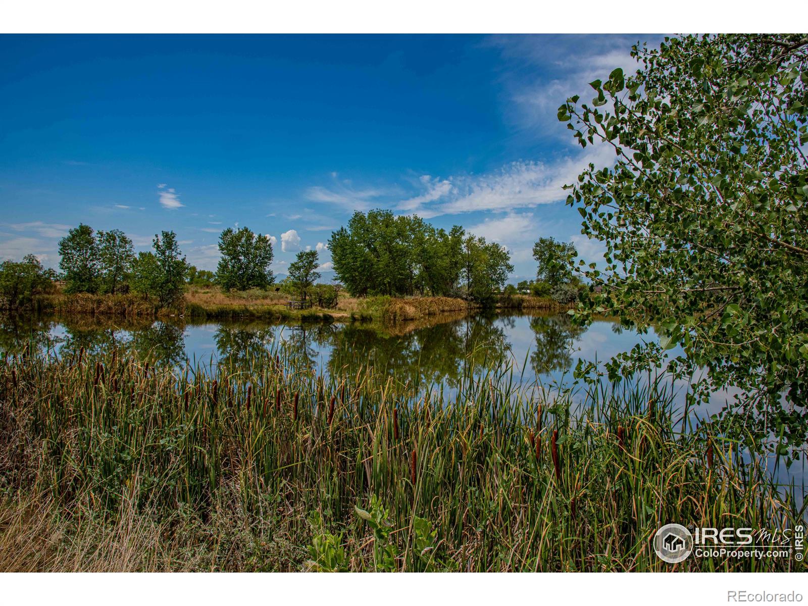 MLS Image #31 for 10440  butte drive,longmont, Colorado