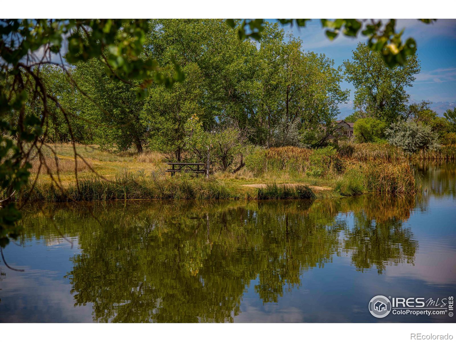 MLS Image #34 for 10440  butte drive,longmont, Colorado