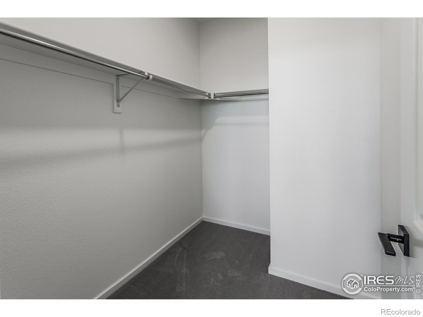 MLS Image #24 for 5314  blainville street,timnath, Colorado