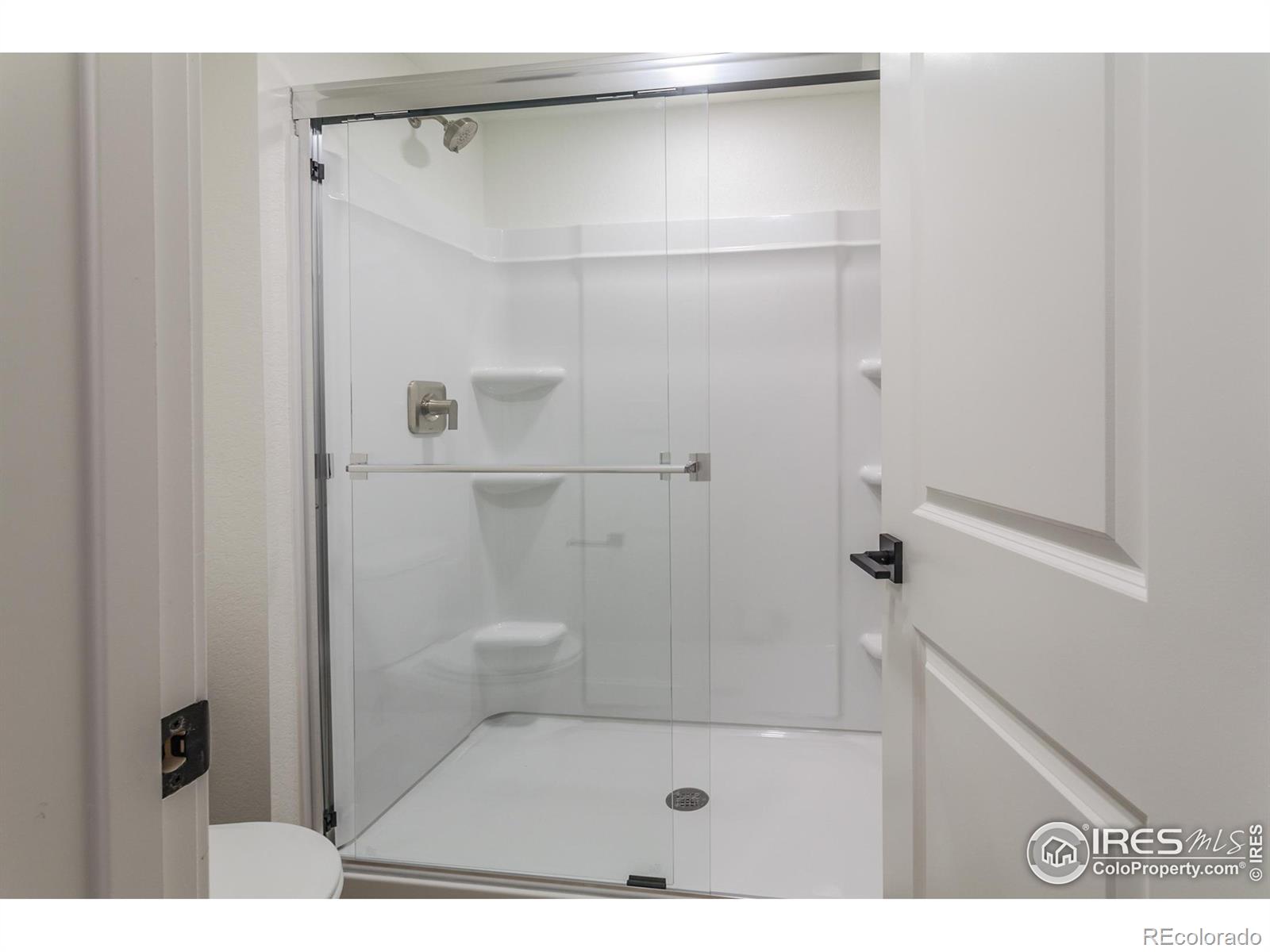 MLS Image #32 for 5314  blainville street,timnath, Colorado