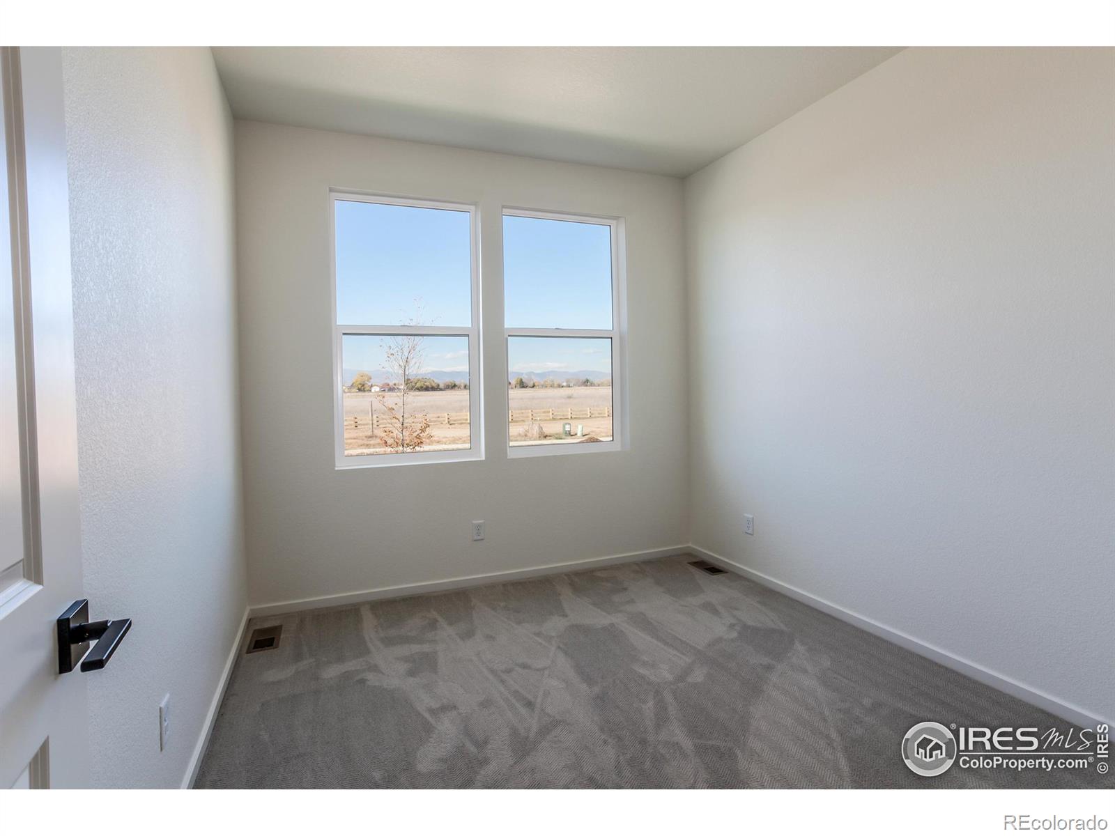 MLS Image #4 for 5314  blainville street,timnath, Colorado