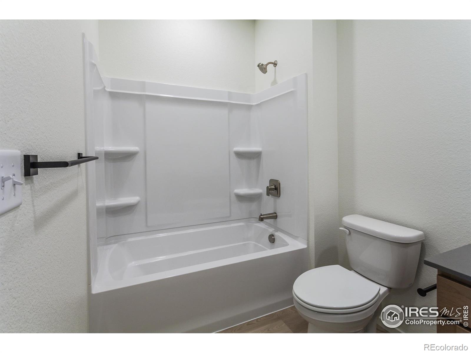 MLS Image #6 for 5314  blainville street,timnath, Colorado