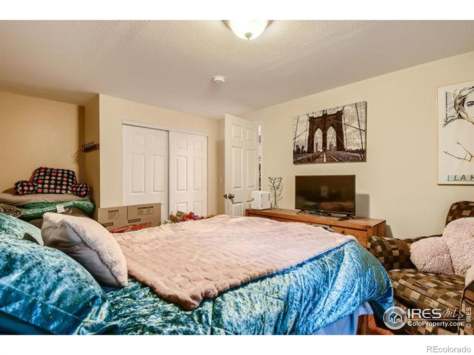 MLS Image #14 for 3580  calico court,mead, Colorado