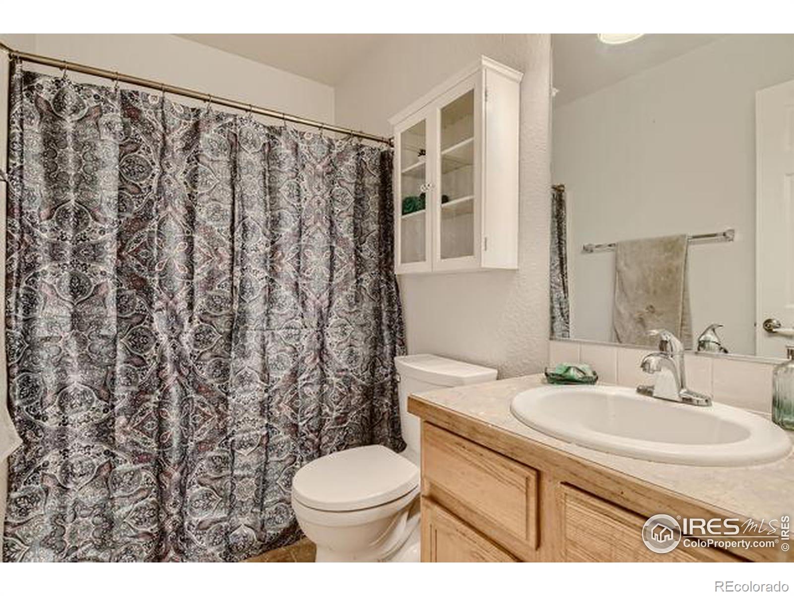 MLS Image #16 for 3580  calico court,mead, Colorado