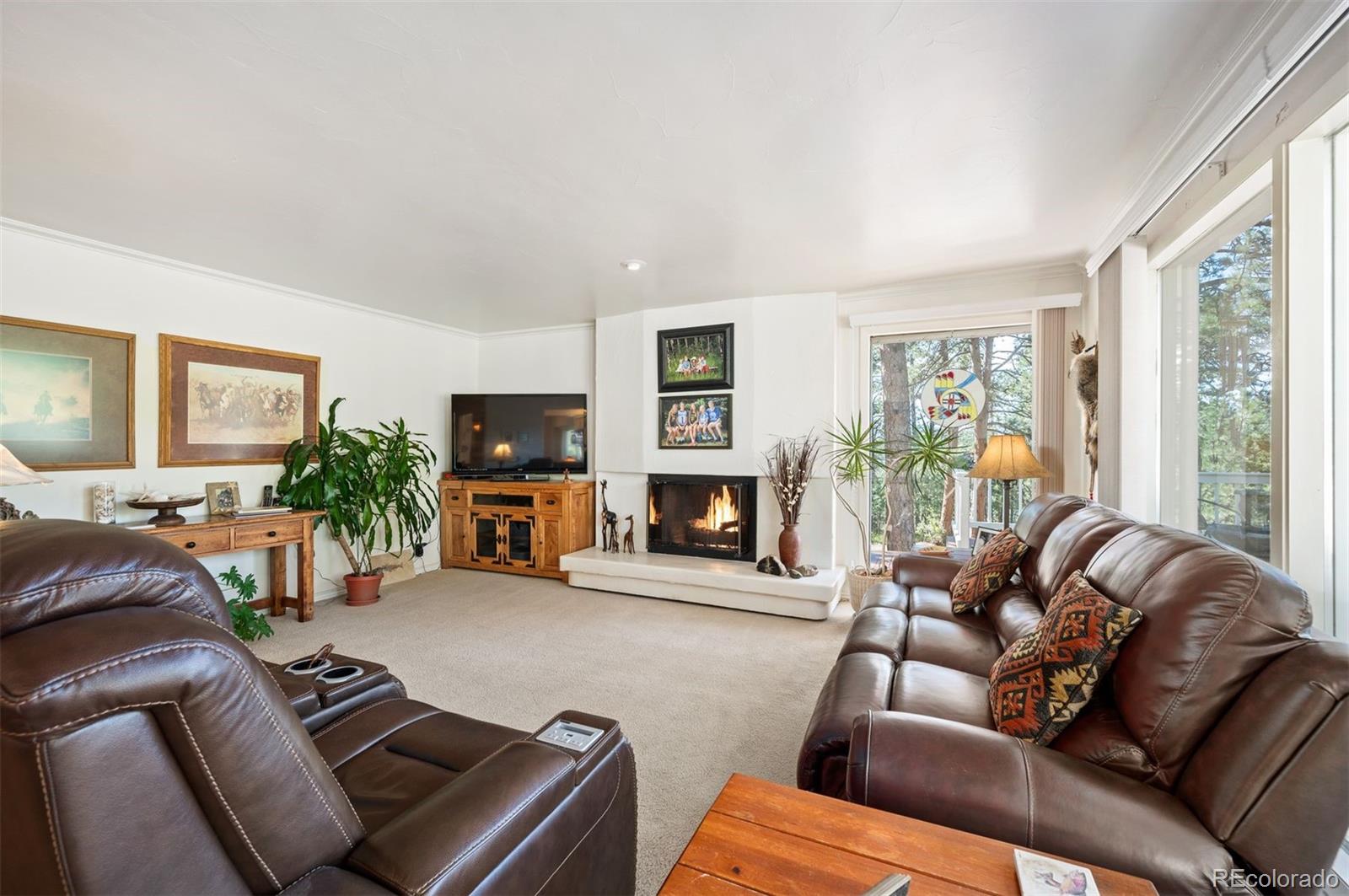 MLS Image #12 for 4076  ponderosa drive,evergreen, Colorado