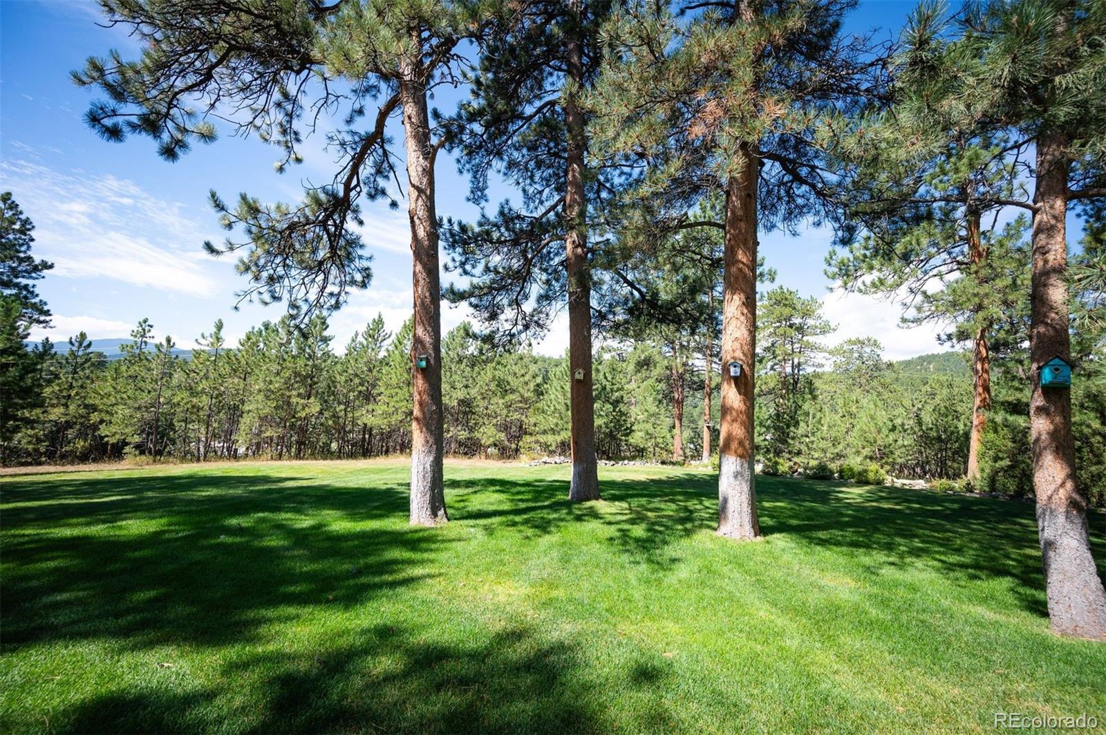 MLS Image #6 for 4076  ponderosa drive,evergreen, Colorado