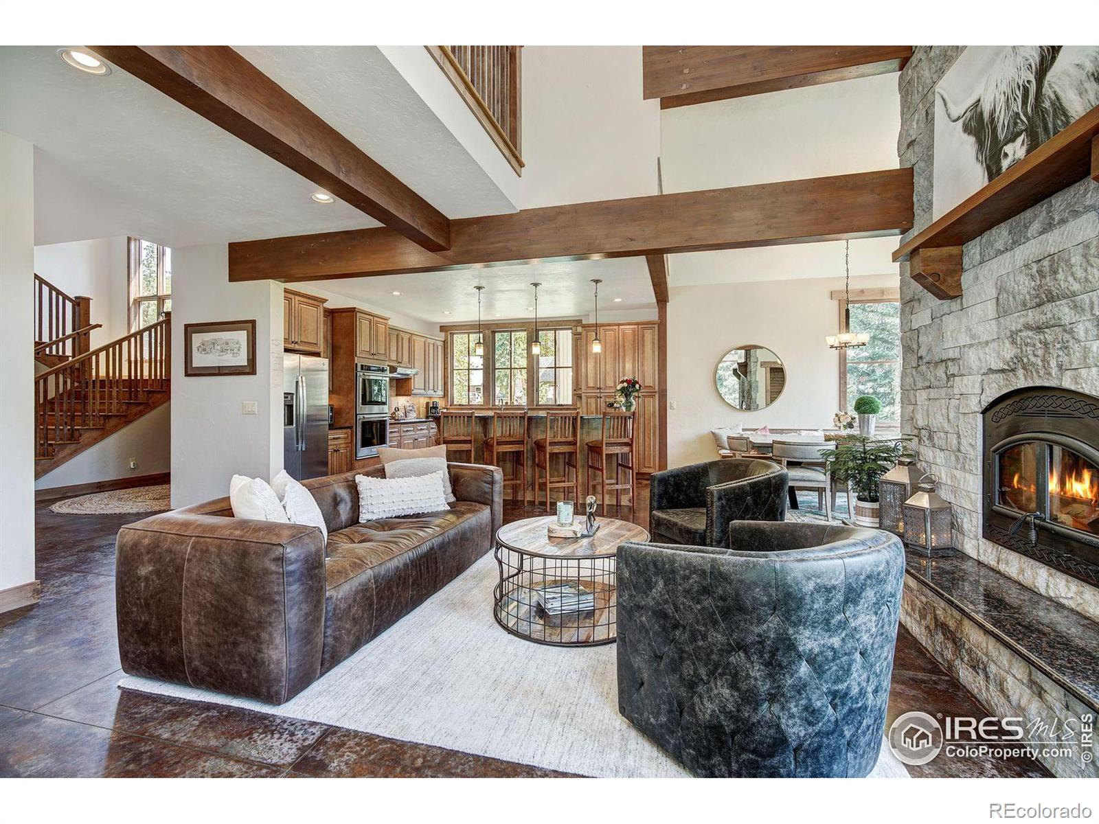 MLS Image #10 for 224  wilderness drive,breckenridge, Colorado