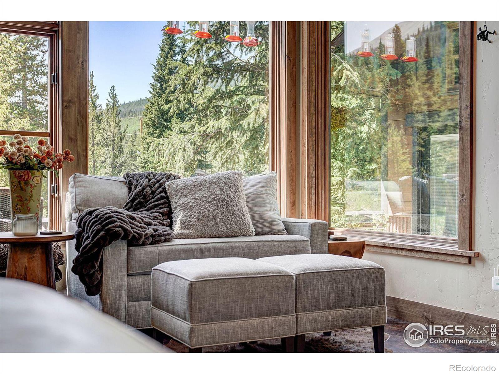 MLS Image #13 for 224  wilderness drive,breckenridge, Colorado