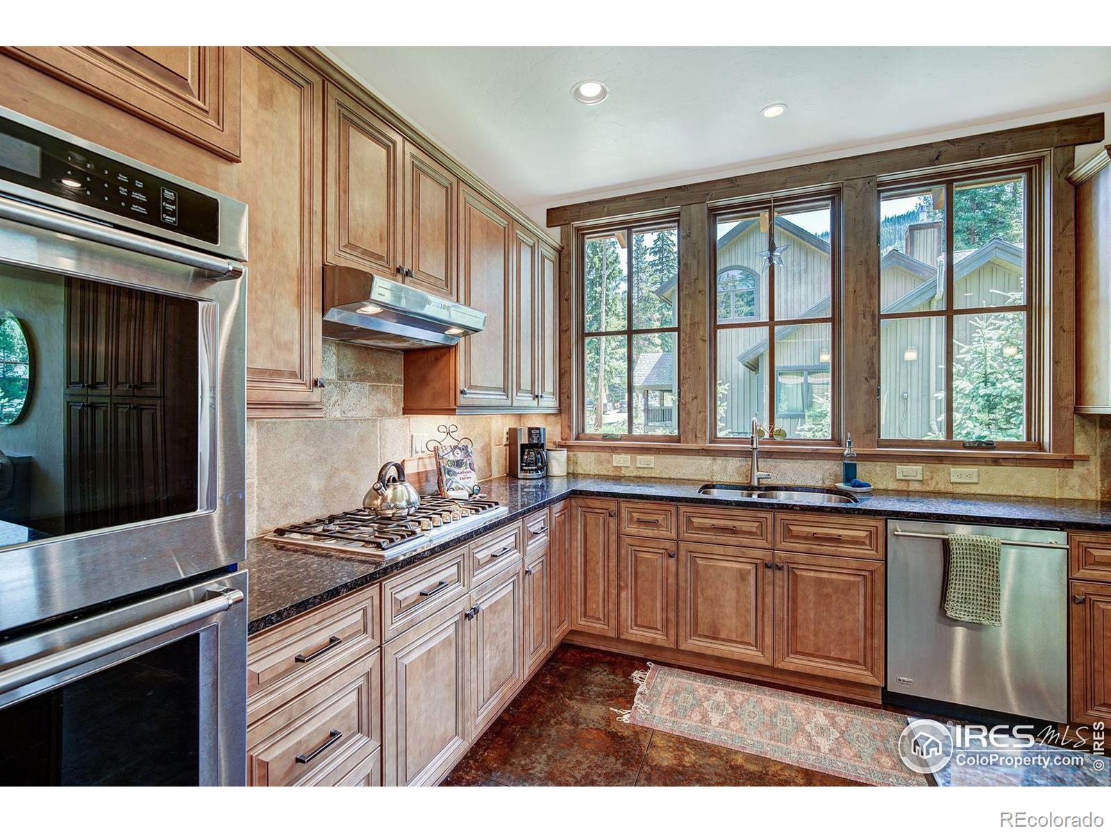 MLS Image #15 for 224  wilderness drive,breckenridge, Colorado