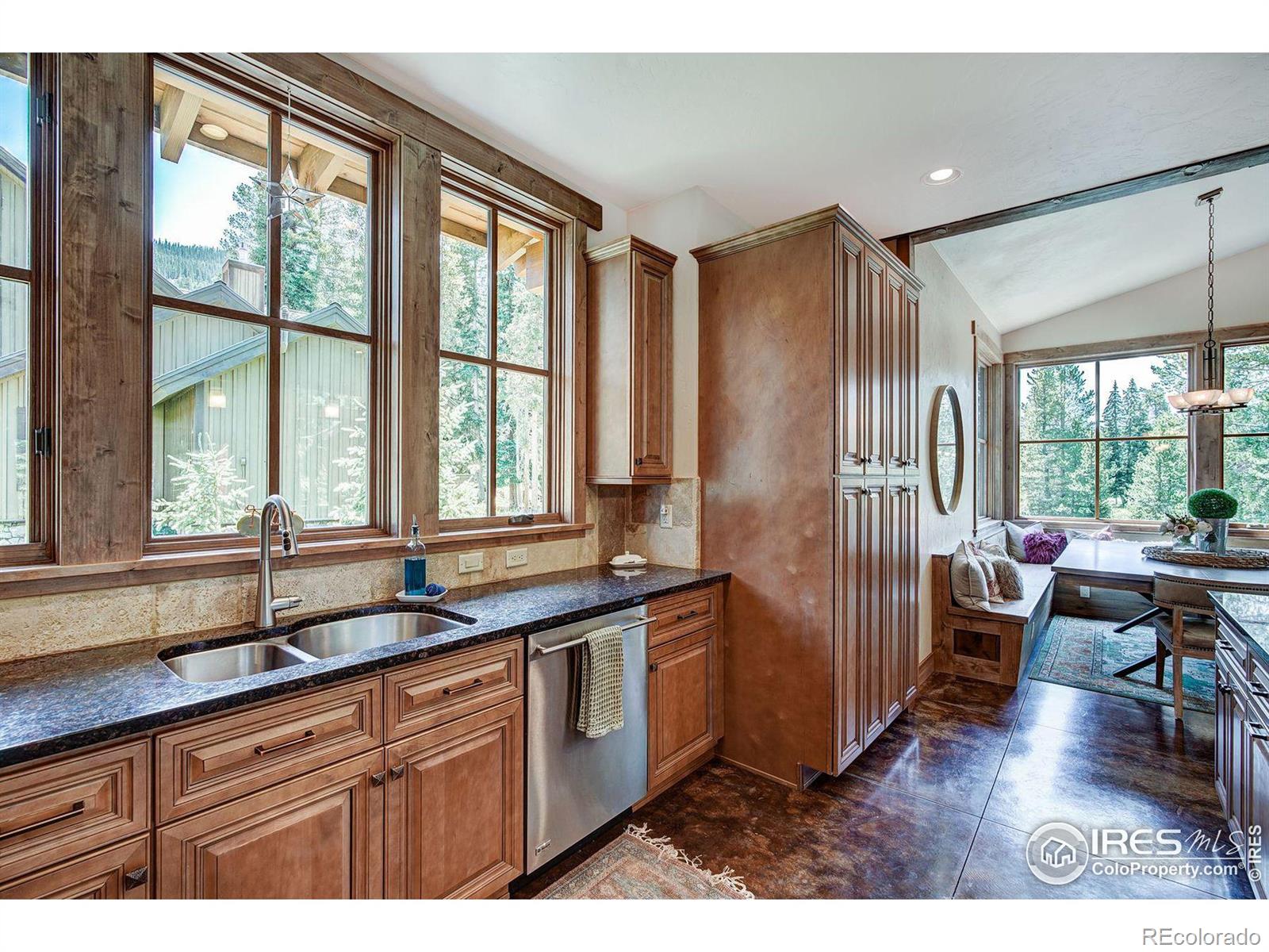 MLS Image #16 for 224  wilderness drive,breckenridge, Colorado