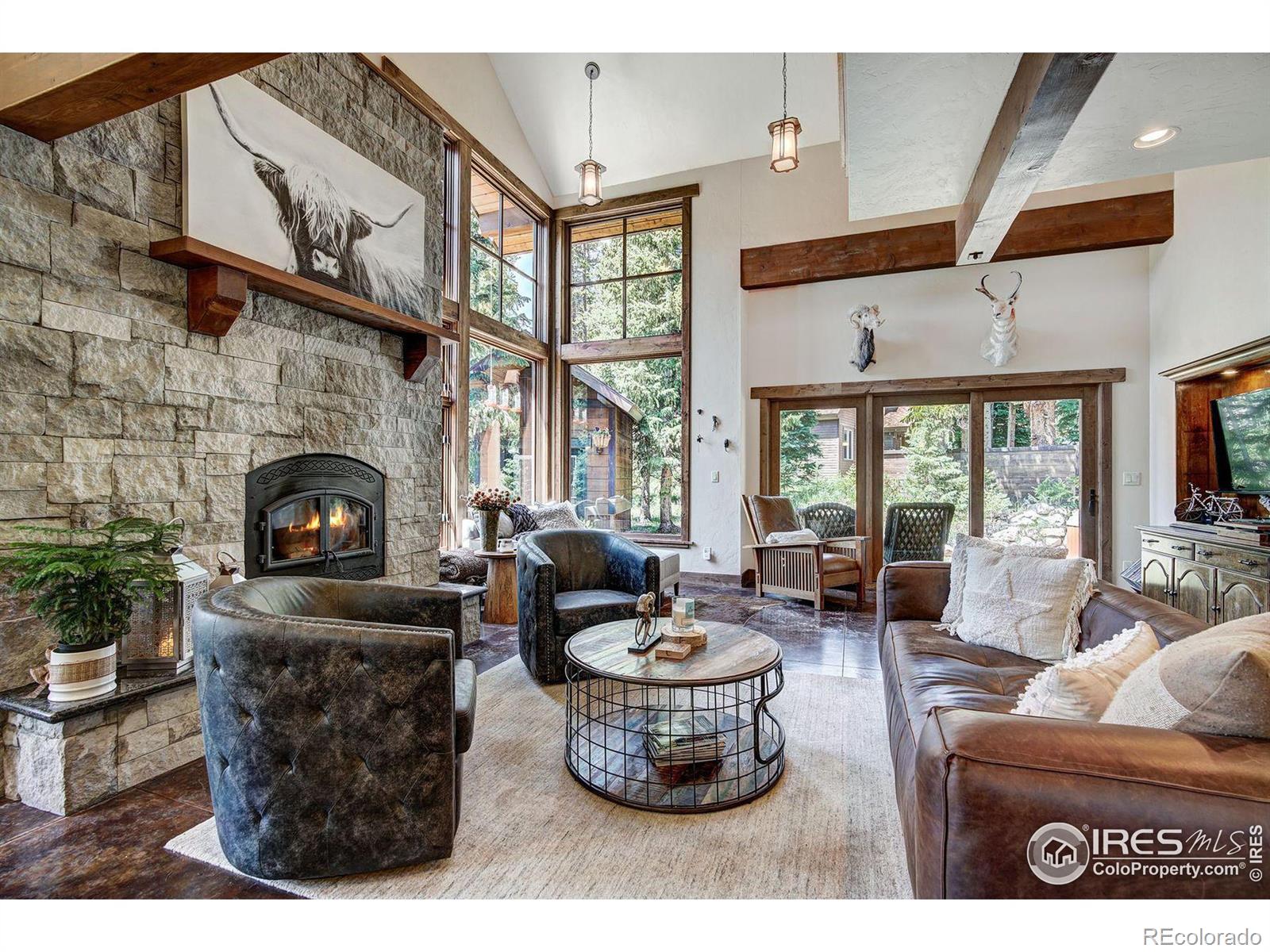 MLS Image #9 for 224  wilderness drive,breckenridge, Colorado