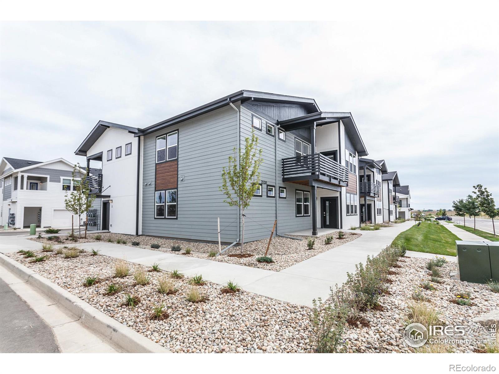 MLS Image #0 for 2120  falling leaf drive,windsor, Colorado