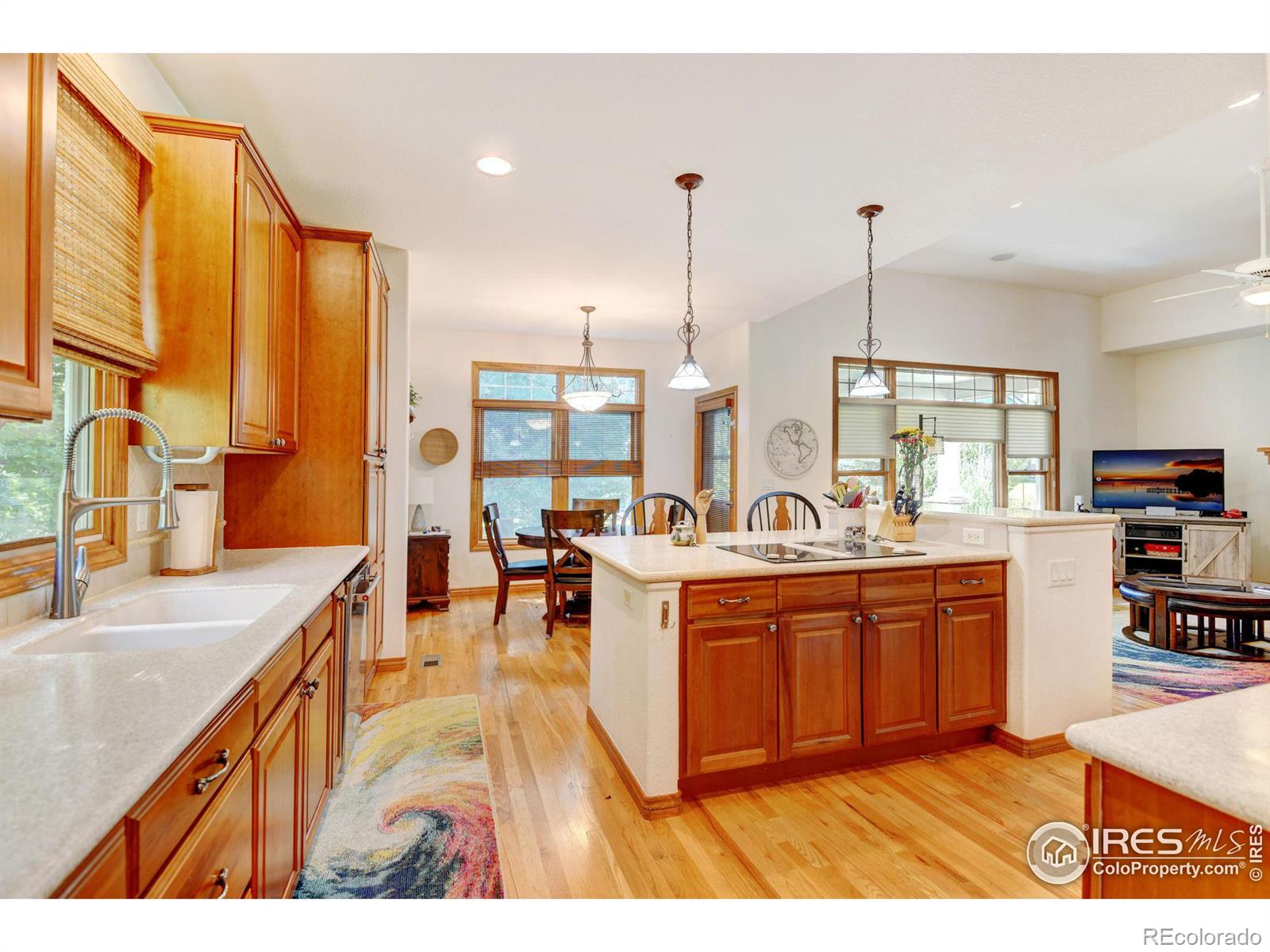 MLS Image #10 for 810  windflower drive,longmont, Colorado