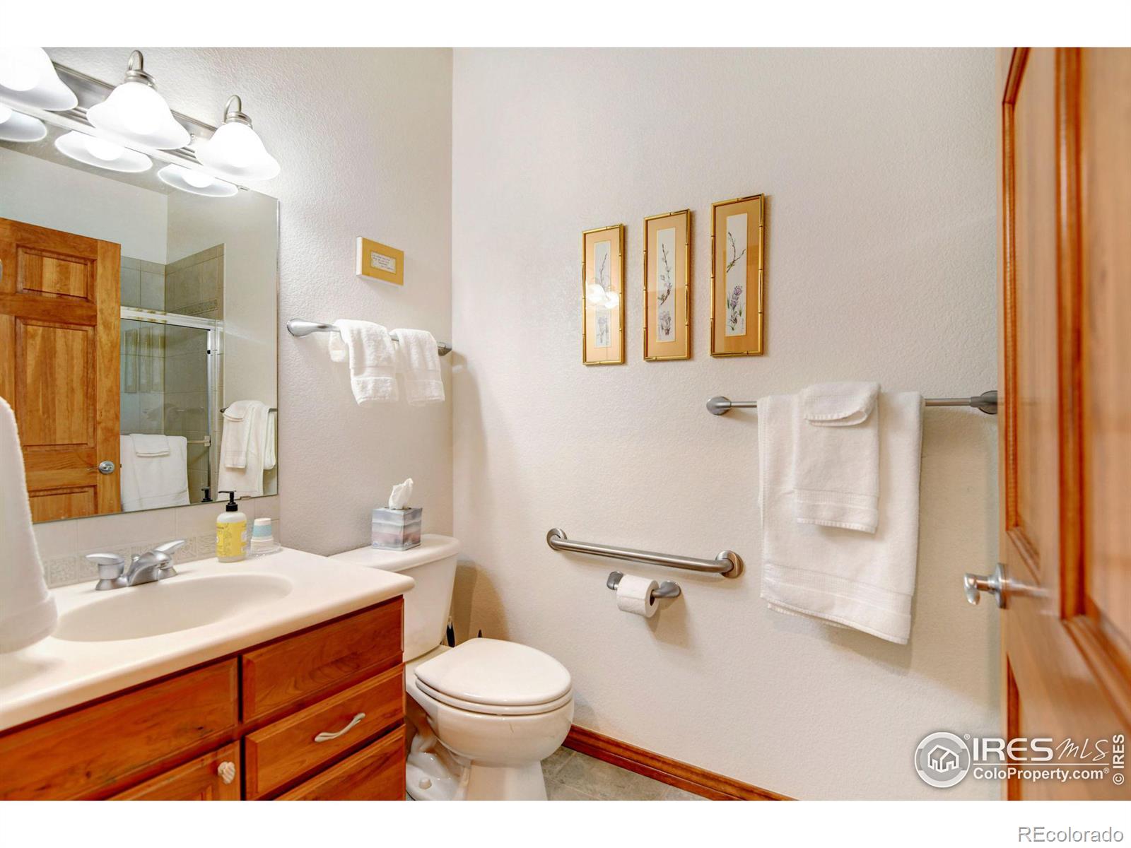 MLS Image #28 for 810  windflower drive,longmont, Colorado