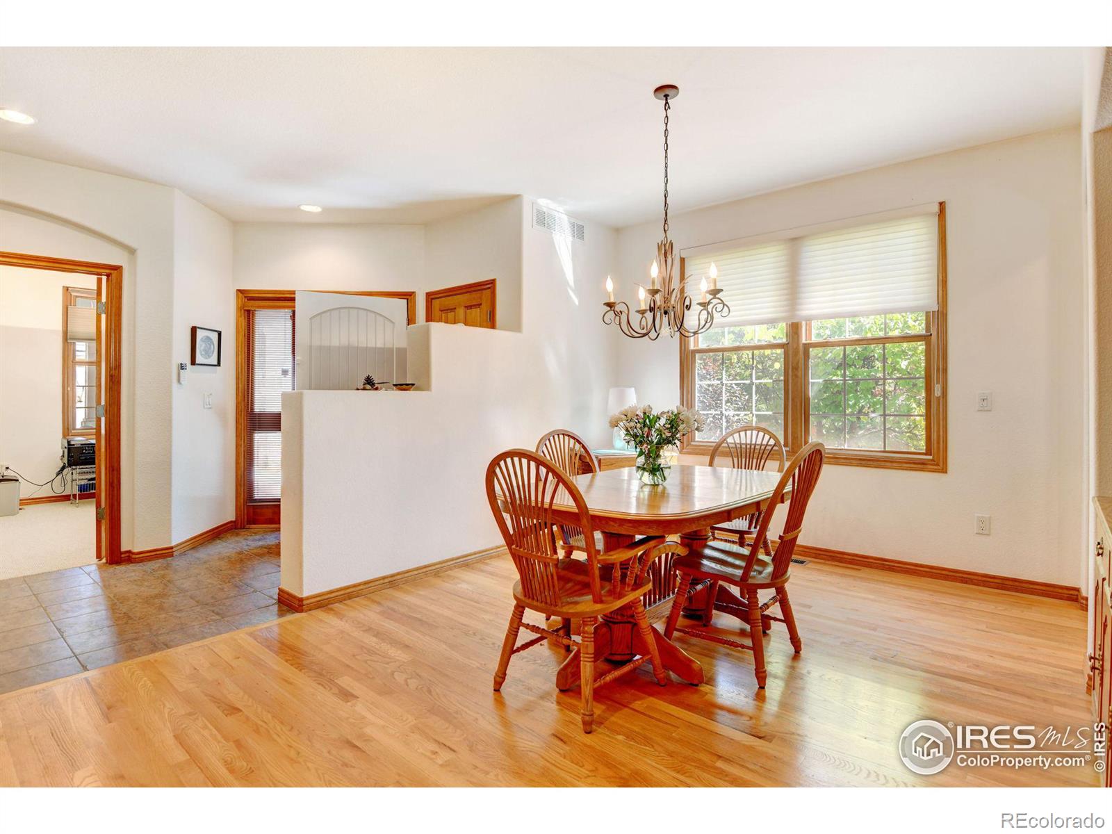 MLS Image #7 for 810  windflower drive,longmont, Colorado